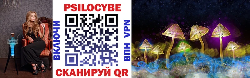 Купить  Весьегонск  Галлюциногенные грибы MAGIC MUSHROOMS 